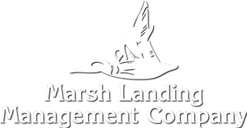 mlmc-logo-vert-w.png